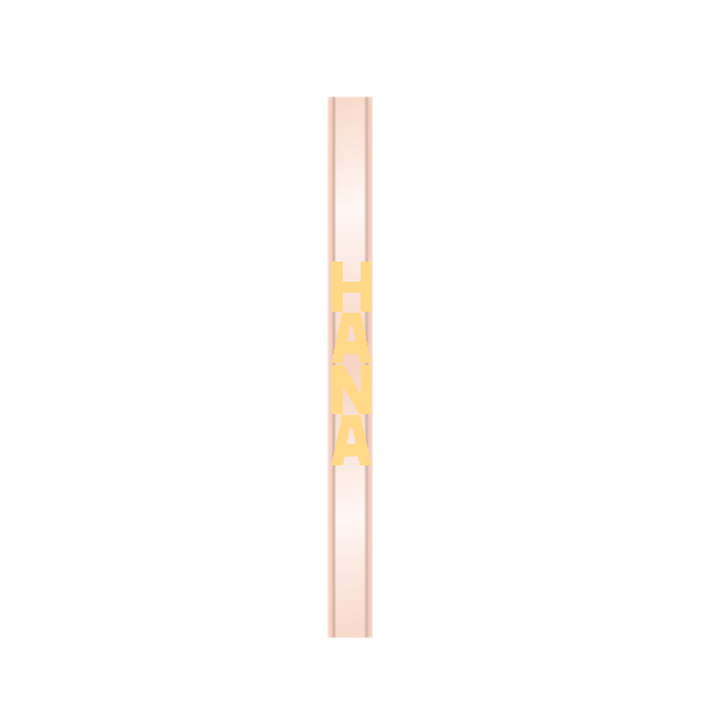 Rose Gold Bracelet/15cm