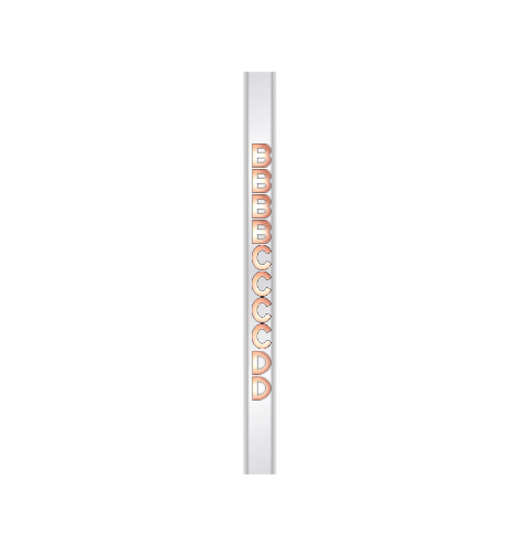 White Gold Bracelet/15cm