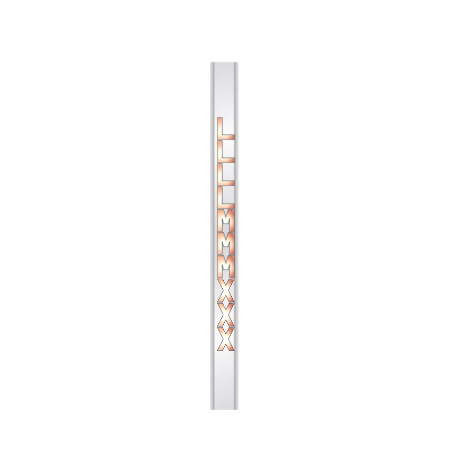 White Gold Bracelet/15cm