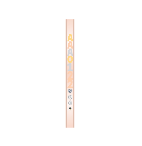 Rose Gold Bracelet/16cm