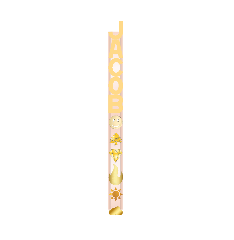 Rose Gold Bracelet/16cm